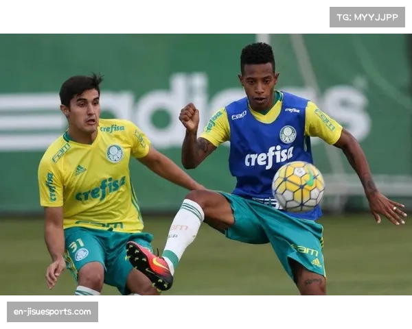 沙佩科恩斯重生之路，从空难到重返巴甲历程